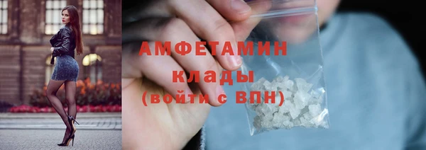 гидра Рославль