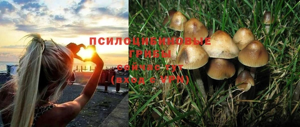 круглые Алексеевка