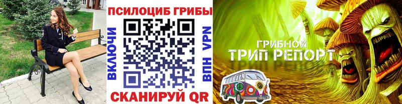 omg как зайти  Козьмодемьянск  Галлюциногенные грибы мухоморы 